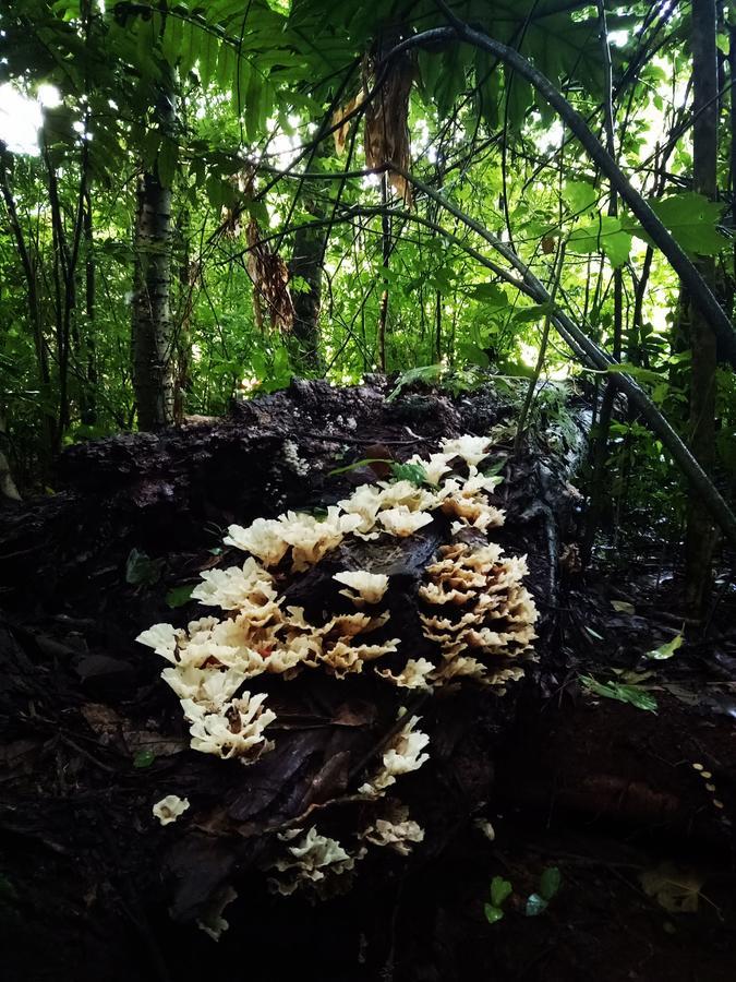 Posada Camboata Aristóbulo del Valle Kültér fotó